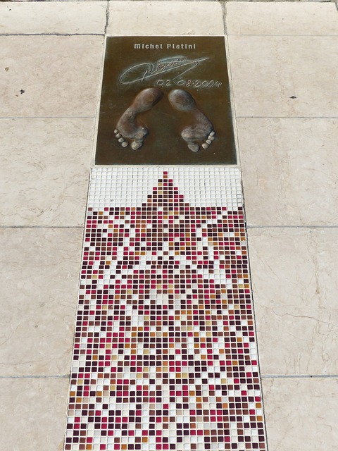 的技战术水 的技战术水