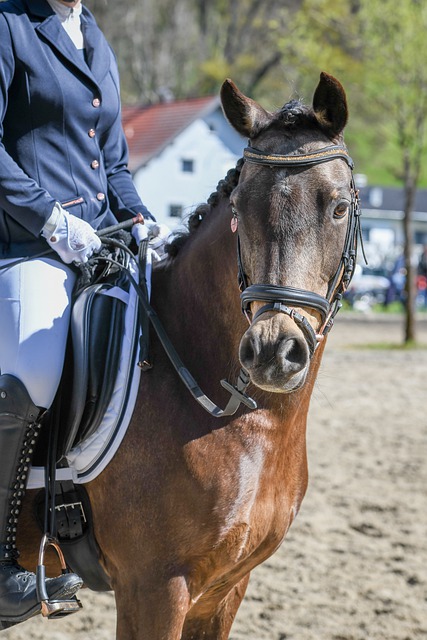 径团队合作 径团队合作