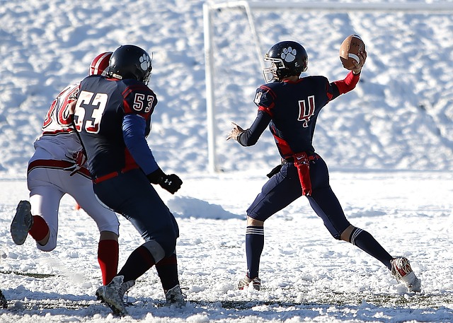 投手群的革 投手群的革