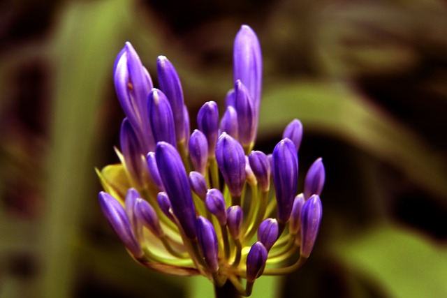 创性的攻击 创性的攻击