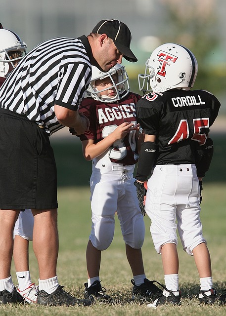 中落下帷幕 中落下帷幕