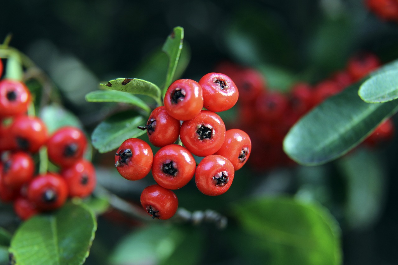 刻告诫全队 刻告诫全队