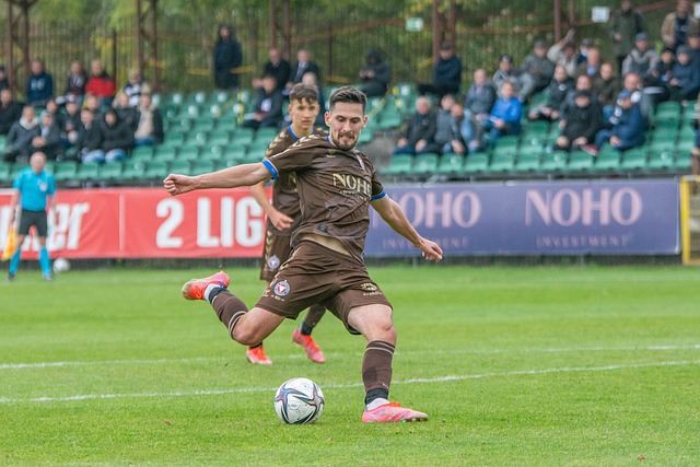 老將與新星 老將與新星