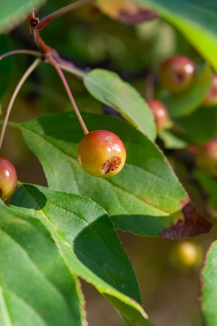 一位在单一 一位在单一